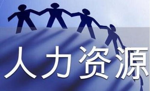 公司如何處理人力資源服務(wù)許可證