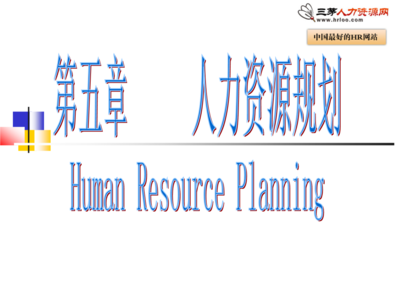 如何做人力資源規(guī)劃.ppt