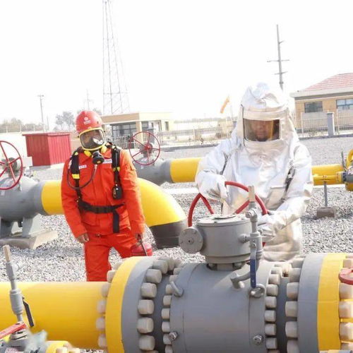 包袱 向 財富 轉變, 養人 與 創效 雙贏 中原工程啟動勞務輸出盤活人力資源