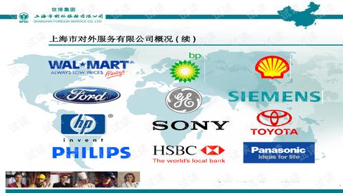 上海外服人力資源外包內部報告 精品創業書模板.ppt