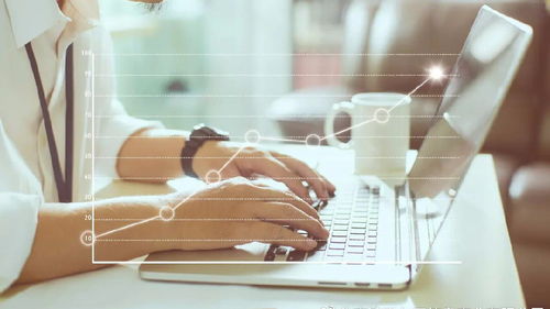 上海人力資源服務許可證辦理指南 費用、材料與流程詳解